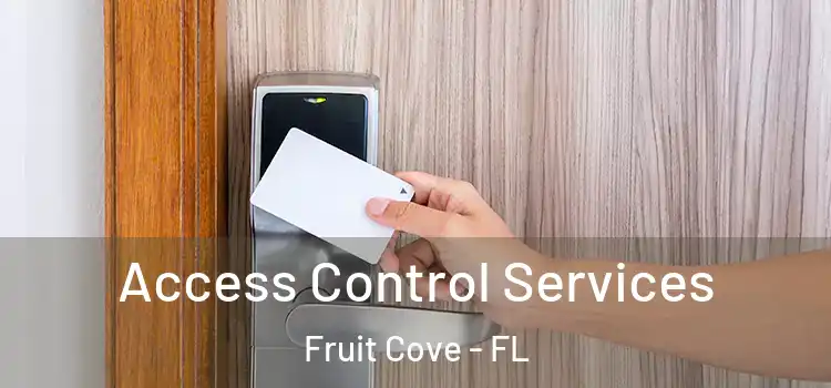 Access Control Services Fruit Cove - FL