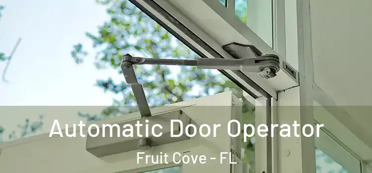  Automatic Door Operator Fruit Cove - FL