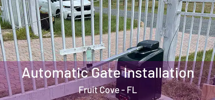  Automatic Gate Installation Fruit Cove - FL
