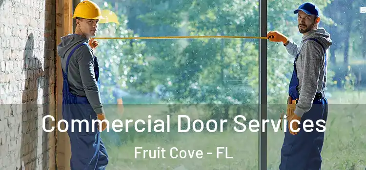 Commercial Door Services Fruit Cove - FL