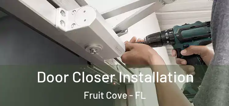 Door Closer Installation Fruit Cove - FL