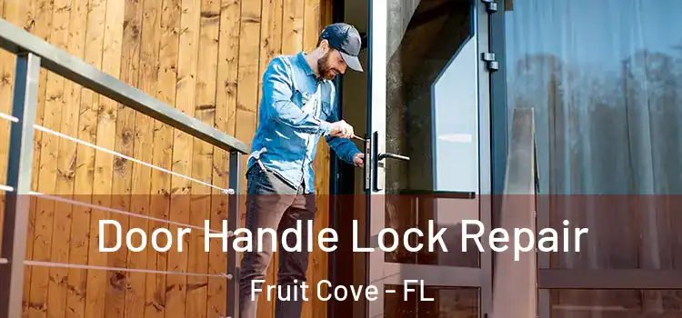 Door Handle Lock Repair Fruit Cove - FL