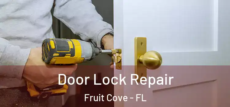 Door Lock Repair Fruit Cove - FL