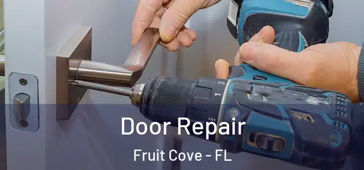 Door Repair Fruit Cove - FL