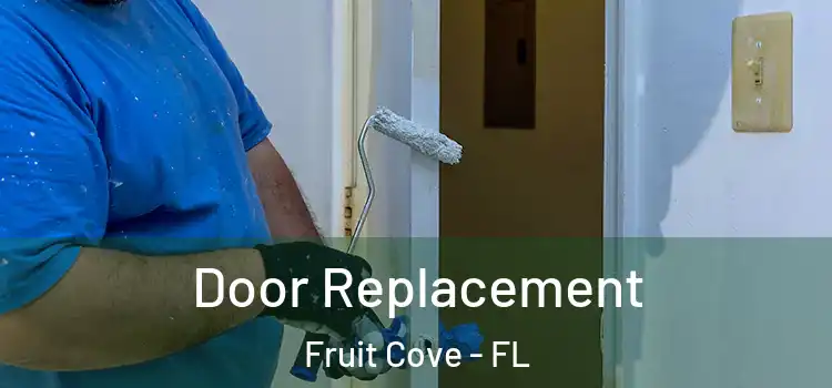 Door Replacement Fruit Cove - FL