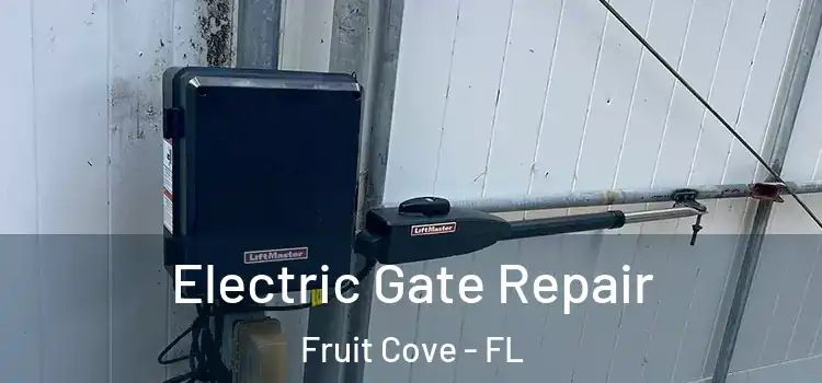 Electric Gate Repair Fruit Cove - FL