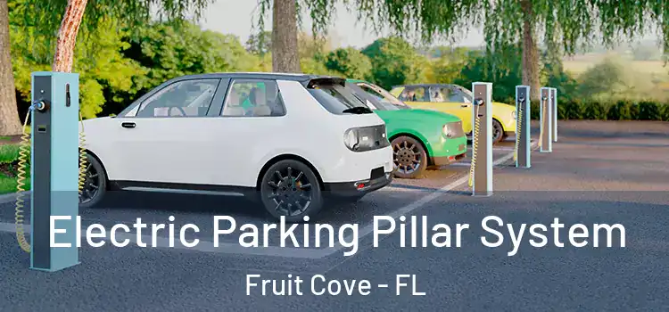 Electric Parking Pillar System Fruit Cove - FL