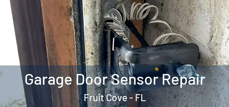 Garage Door Sensor Repair Fruit Cove - FL