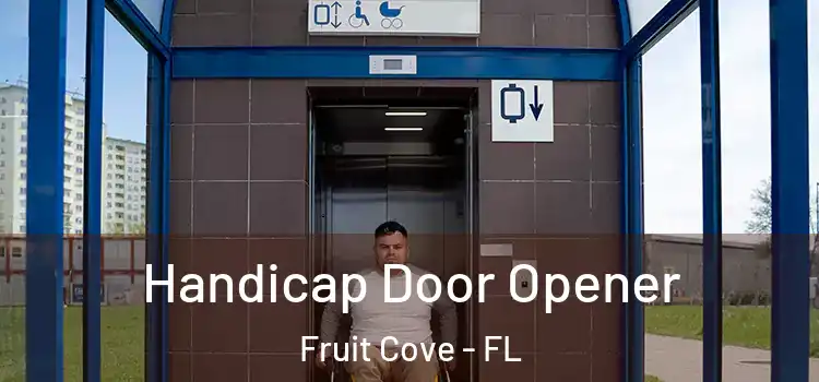 Handicap Door Opener Fruit Cove - FL