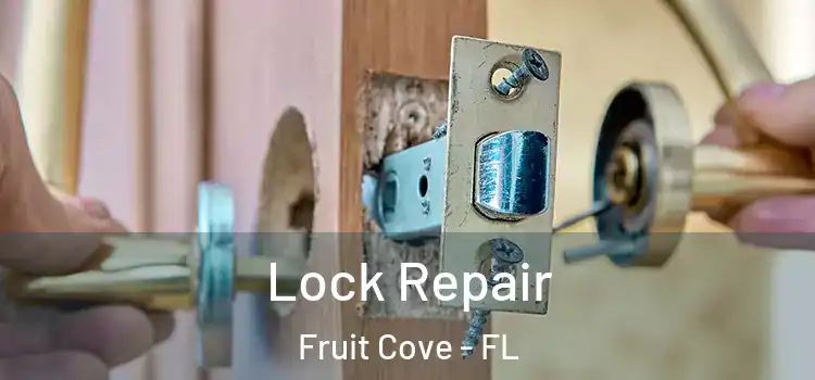 Lock Repair Fruit Cove - FL
