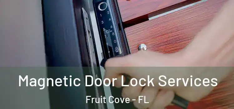 Magnetic Door Lock Services Fruit Cove - FL