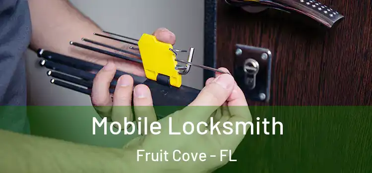 Mobile Locksmith Fruit Cove - FL